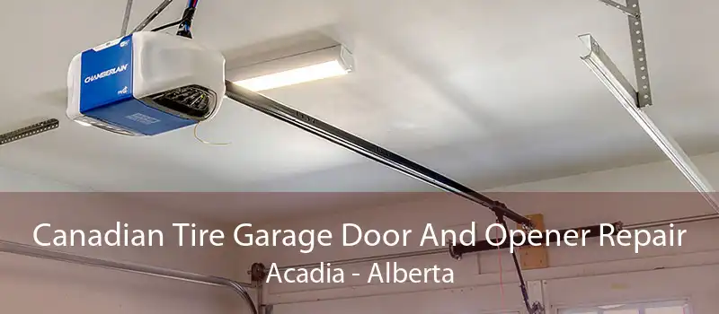 Canadian Tire Garage Door And Opener Repair Acadia - Alberta