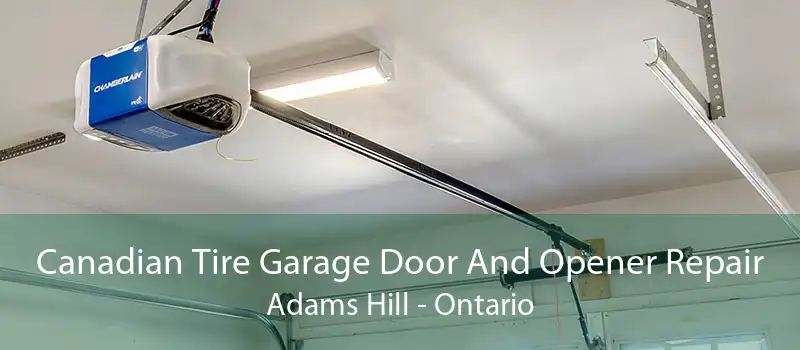 Canadian Tire Garage Door And Opener Repair Adams Hill - Ontario