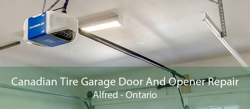 Canadian Tire Garage Door And Opener Repair Alfred - Ontario