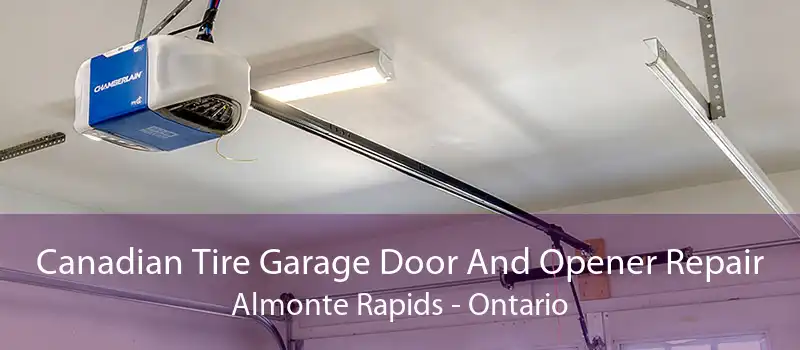 Canadian Tire Garage Door And Opener Repair Almonte Rapids - Ontario