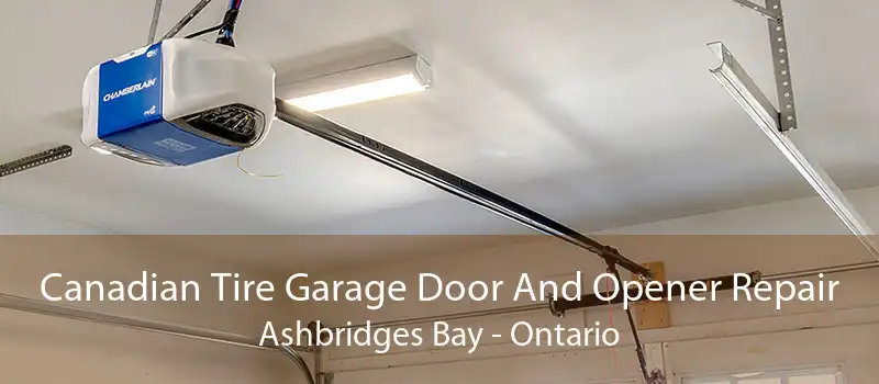 Canadian Tire Garage Door And Opener Repair Ashbridges Bay - Ontario