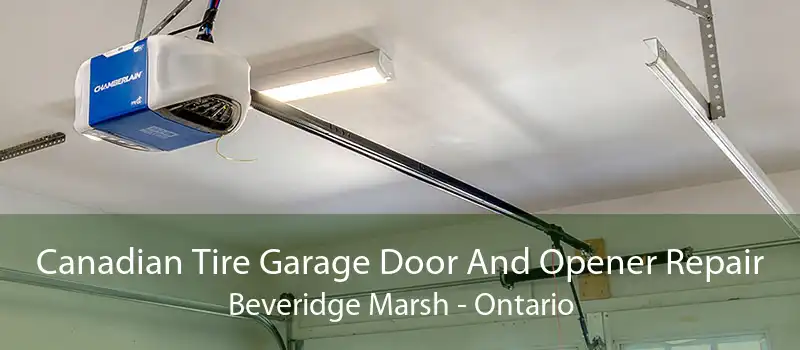 Canadian Tire Garage Door And Opener Repair Beveridge Marsh - Ontario