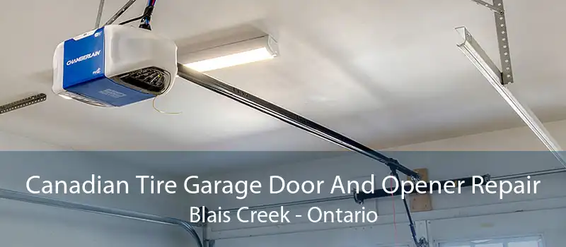 Canadian Tire Garage Door And Opener Repair Blais Creek - Ontario