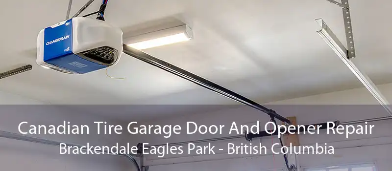 Canadian Tire Garage Door And Opener Repair Brackendale Eagles Park - British Columbia