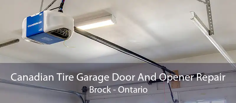 Canadian Tire Garage Door And Opener Repair Brock - Ontario