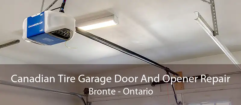Canadian Tire Garage Door And Opener Repair Bronte - Ontario