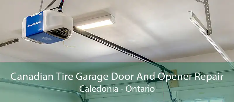 Canadian Tire Garage Door And Opener Repair Caledonia - Ontario