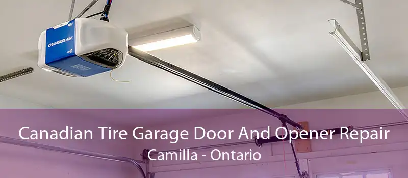 Canadian Tire Garage Door And Opener Repair Camilla - Ontario