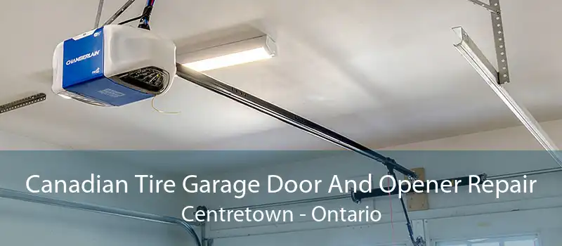 Canadian Tire Garage Door And Opener Repair Centretown - Ontario