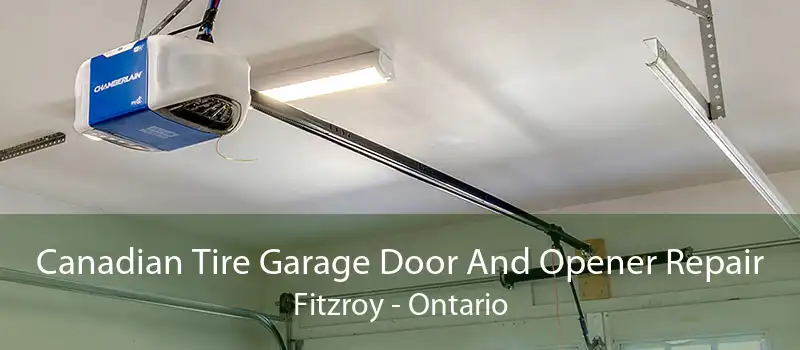 Canadian Tire Garage Door And Opener Repair Fitzroy - Ontario