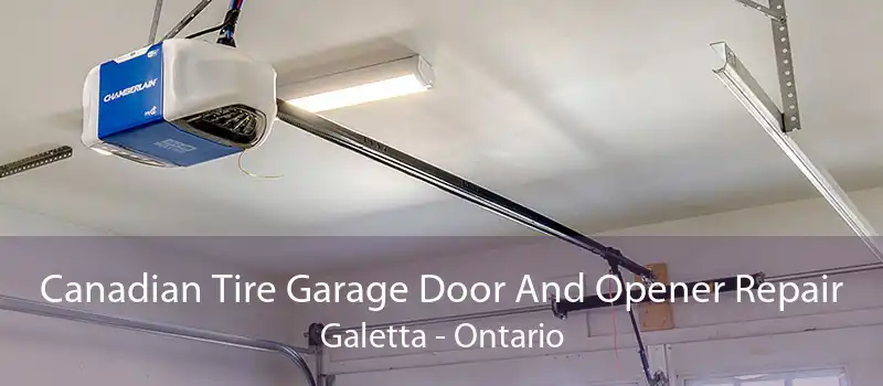 Canadian Tire Garage Door And Opener Repair Galetta - Ontario
