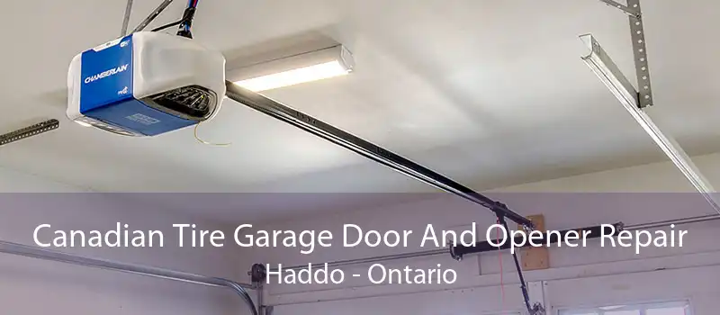 Canadian Tire Garage Door And Opener Repair Haddo - Ontario