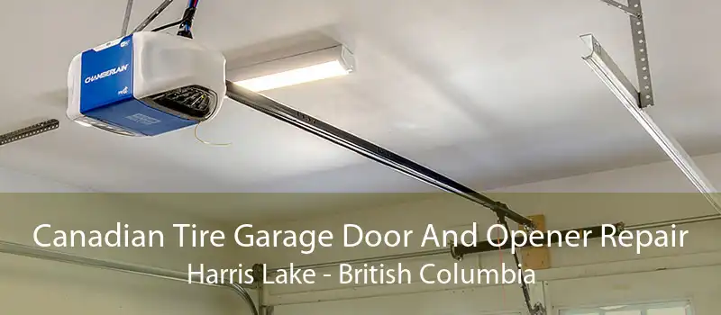 Canadian Tire Garage Door And Opener Repair Harris Lake - British Columbia