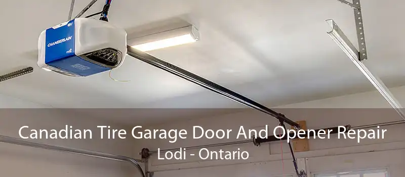 Canadian Tire Garage Door And Opener Repair Lodi - Ontario