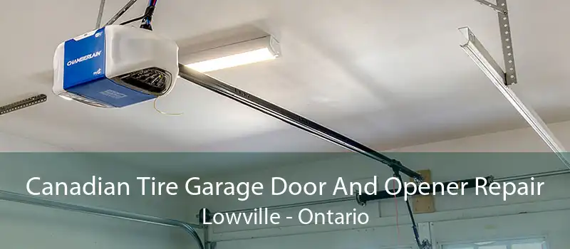 Canadian Tire Garage Door And Opener Repair Lowville - Ontario