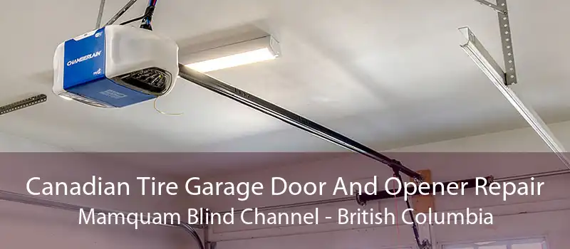 Canadian Tire Garage Door And Opener Repair Mamquam Blind Channel - British Columbia