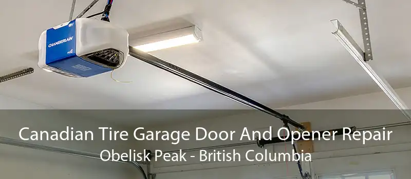 Canadian Tire Garage Door And Opener Repair Obelisk Peak - British Columbia