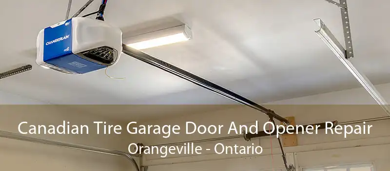 Canadian Tire Garage Door And Opener Repair Orangeville - Ontario