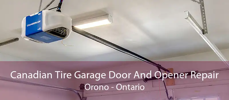Canadian Tire Garage Door And Opener Repair Orono - Ontario