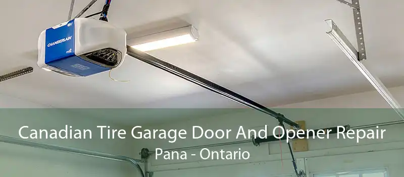 Canadian Tire Garage Door And Opener Repair Pana - Ontario