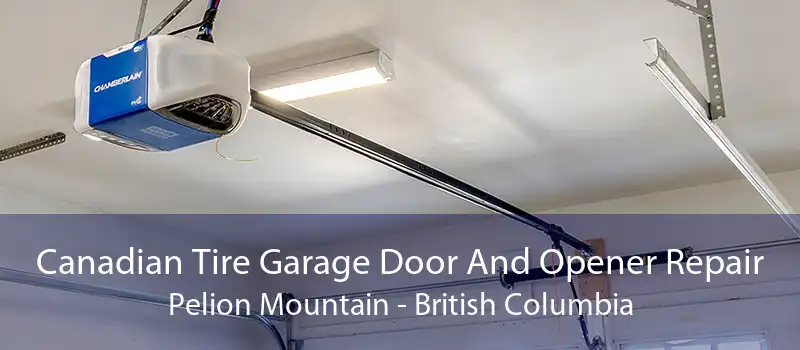 Canadian Tire Garage Door And Opener Repair Pelion Mountain - British Columbia