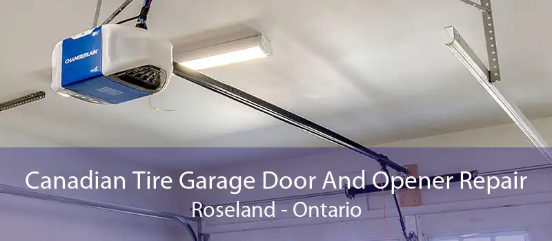 Canadian Tire Garage Door And Opener Repair Roseland - Ontario