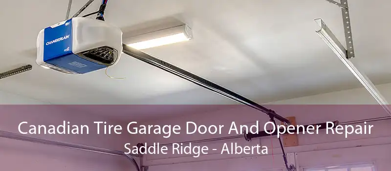 Canadian Tire Garage Door And Opener Repair Saddle Ridge - Alberta