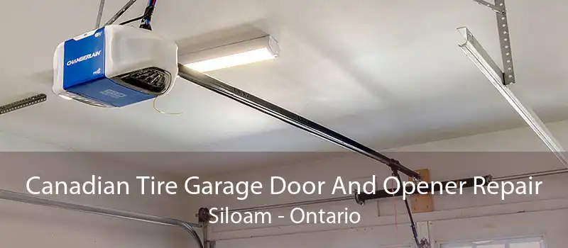 Canadian Tire Garage Door And Opener Repair Siloam - Ontario