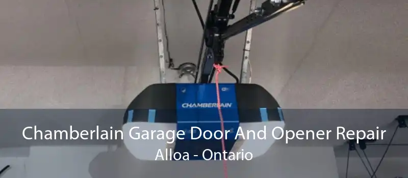 Chamberlain Garage Door And Opener Repair Alloa - Ontario