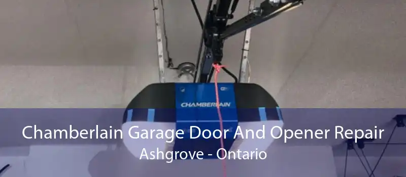 Chamberlain Garage Door And Opener Repair Ashgrove - Ontario