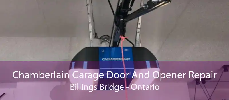 Chamberlain Garage Door And Opener Repair Billings Bridge - Ontario
