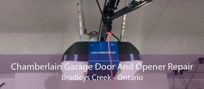 Chamberlain Garage Door And Opener Repair Bradleys Creek - Ontario
