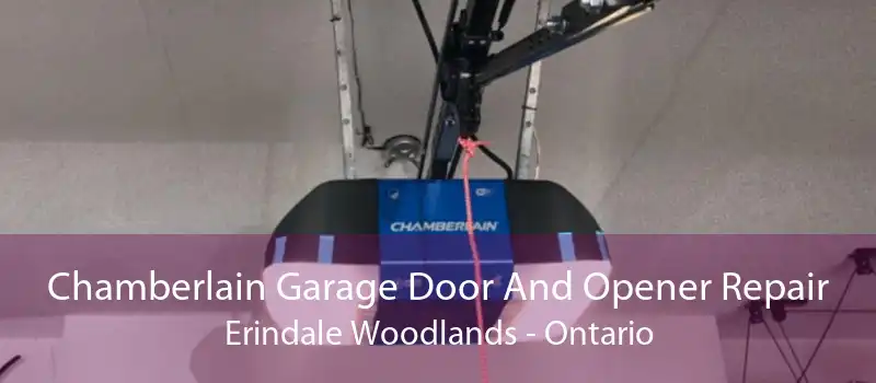 Chamberlain Garage Door And Opener Repair Erindale Woodlands - Ontario