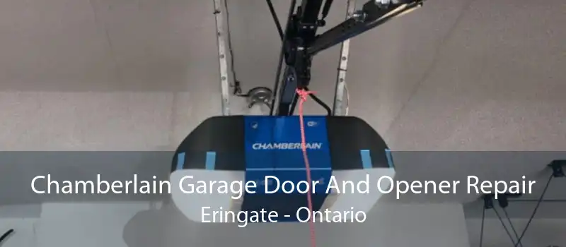 Chamberlain Garage Door And Opener Repair Eringate - Ontario