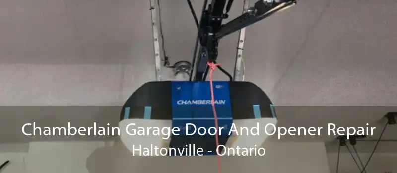 Chamberlain Garage Door And Opener Repair Haltonville - Ontario