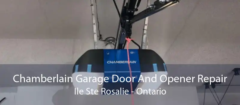 Chamberlain Garage Door And Opener Repair Ile Ste Rosalie - Ontario