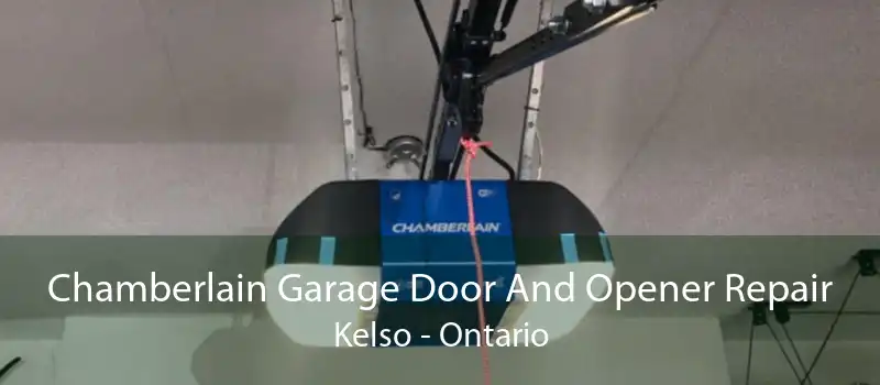 Chamberlain Garage Door And Opener Repair Kelso - Ontario