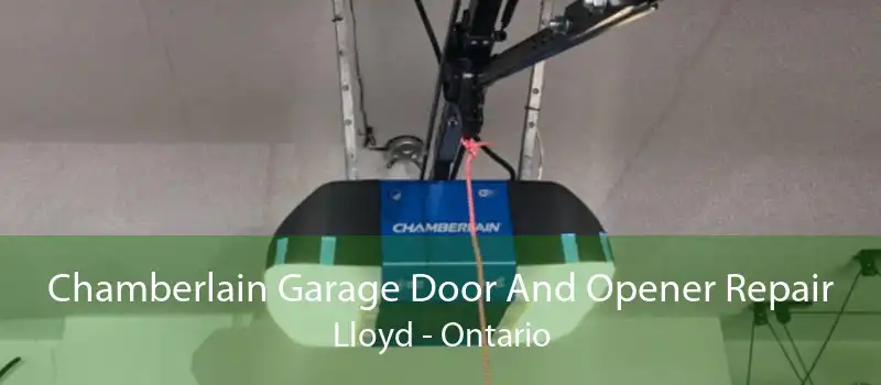 Chamberlain Garage Door And Opener Repair Lloyd - Ontario