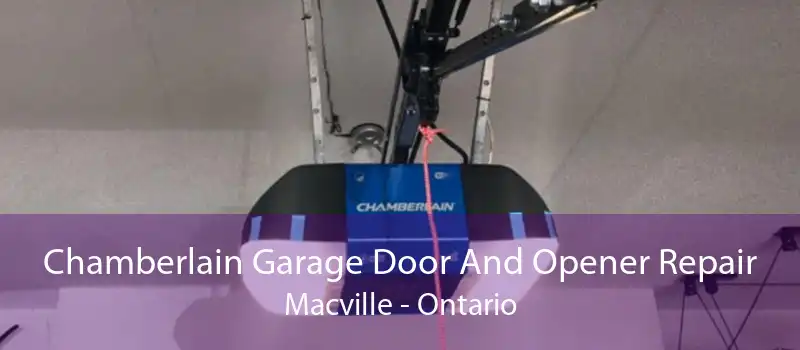 Chamberlain Garage Door And Opener Repair Macville - Ontario