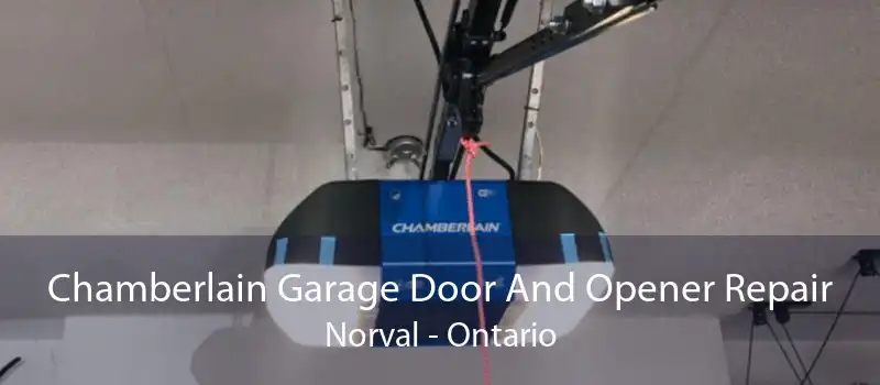 Chamberlain Garage Door And Opener Repair Norval - Ontario