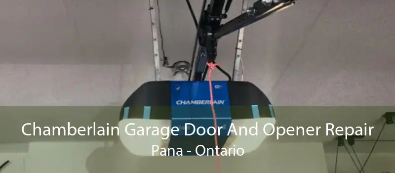 Chamberlain Garage Door And Opener Repair Pana - Ontario