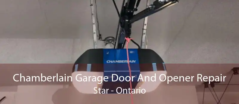 Chamberlain Garage Door And Opener Repair Star - Ontario