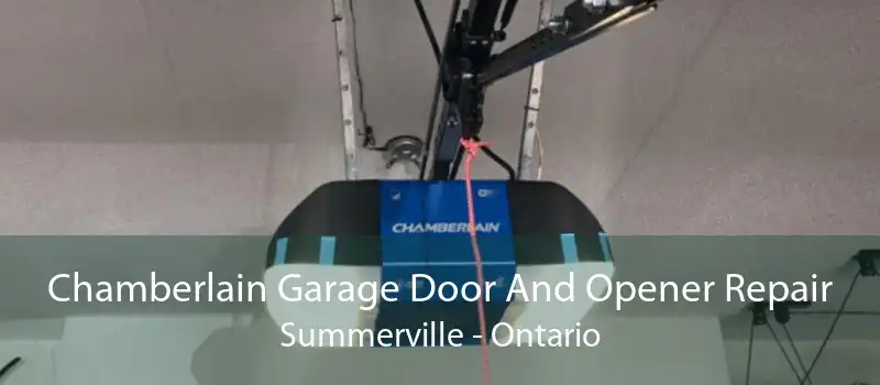 Chamberlain Garage Door And Opener Repair Summerville - Ontario