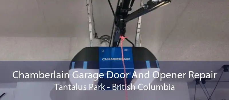 Chamberlain Garage Door And Opener Repair Tantalus Park - British Columbia