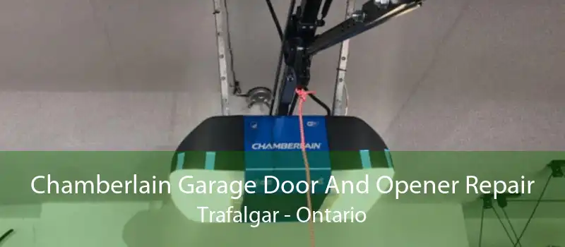 Chamberlain Garage Door And Opener Repair Trafalgar - Ontario