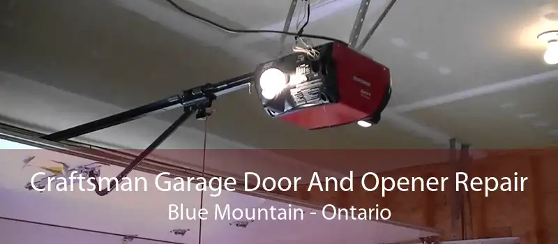 Craftsman Garage Door And Opener Repair Blue Mountain - Ontario