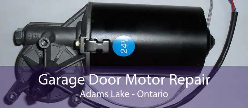 Garage Door Motor Repair Adams Lake - Ontario