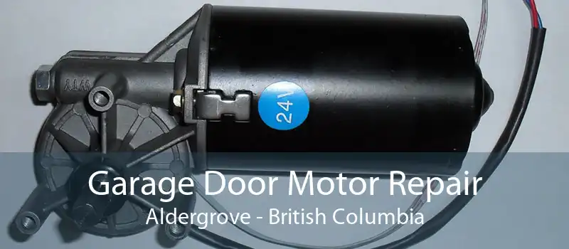 Garage Door Motor Repair Aldergrove - British Columbia