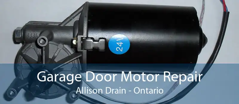 Garage Door Motor Repair Allison Drain - Ontario