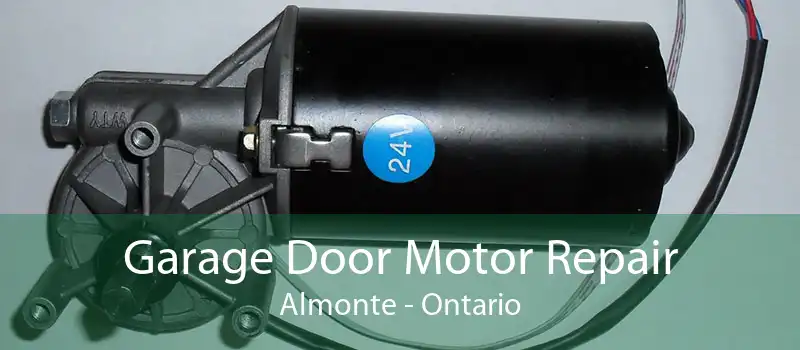 Garage Door Motor Repair Almonte - Ontario